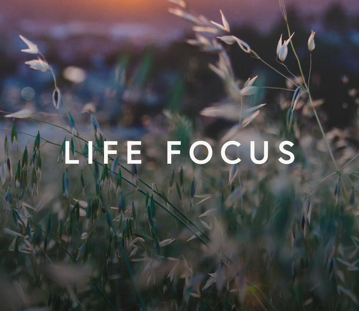 LifeFocus