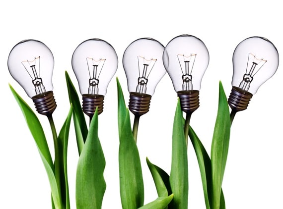 Five Light Bulb Tulips - Photo courtesy of ©iStockphoto.com/NREY, Image #8845773