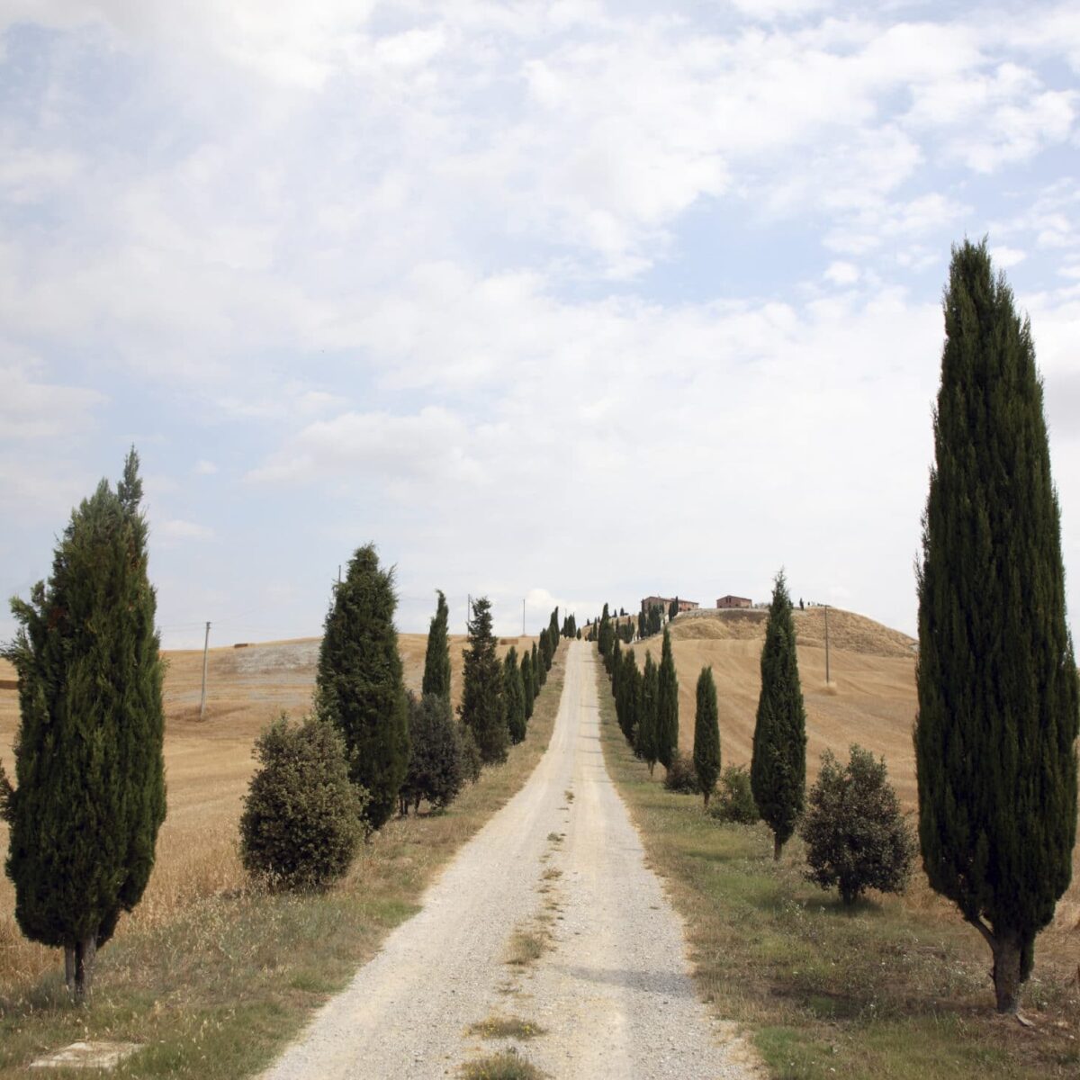 How to Unplug While You Are on Vacation