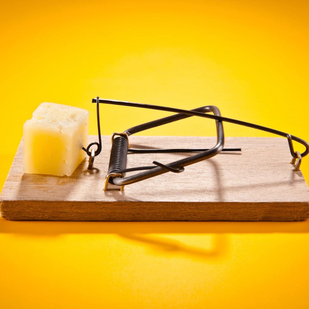 How to Avoid Our Most Common Thought Traps