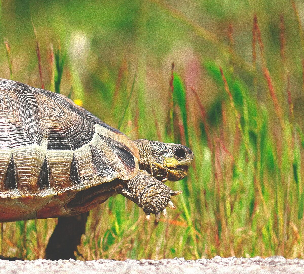 Slow That Decision Down