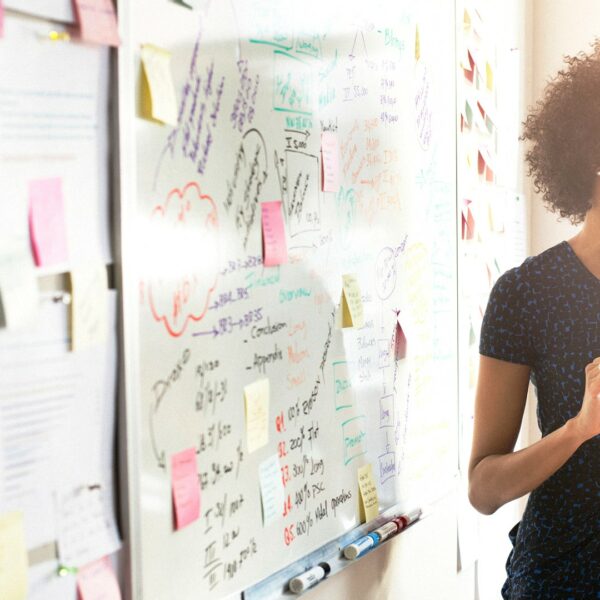 Spell out the Organization’s Purpose