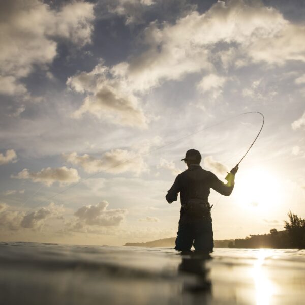 The Science Behind Why You Need a Hobby