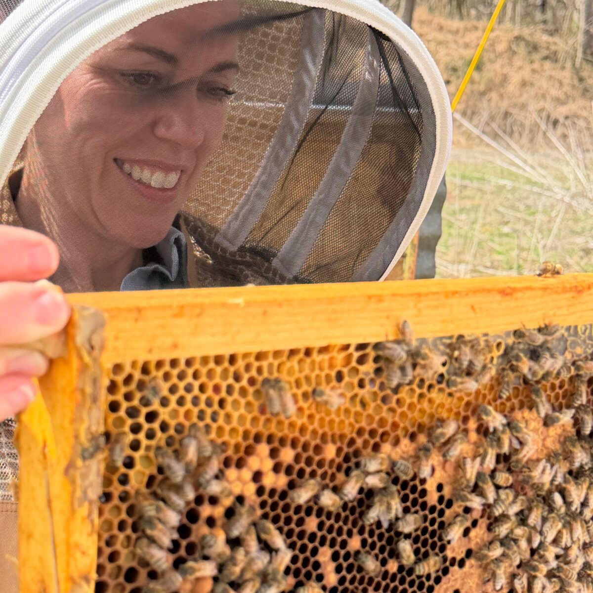 Person in beekeeping suit examining a hive, symbolizing harmony between productivity and nature for work-life balance.
