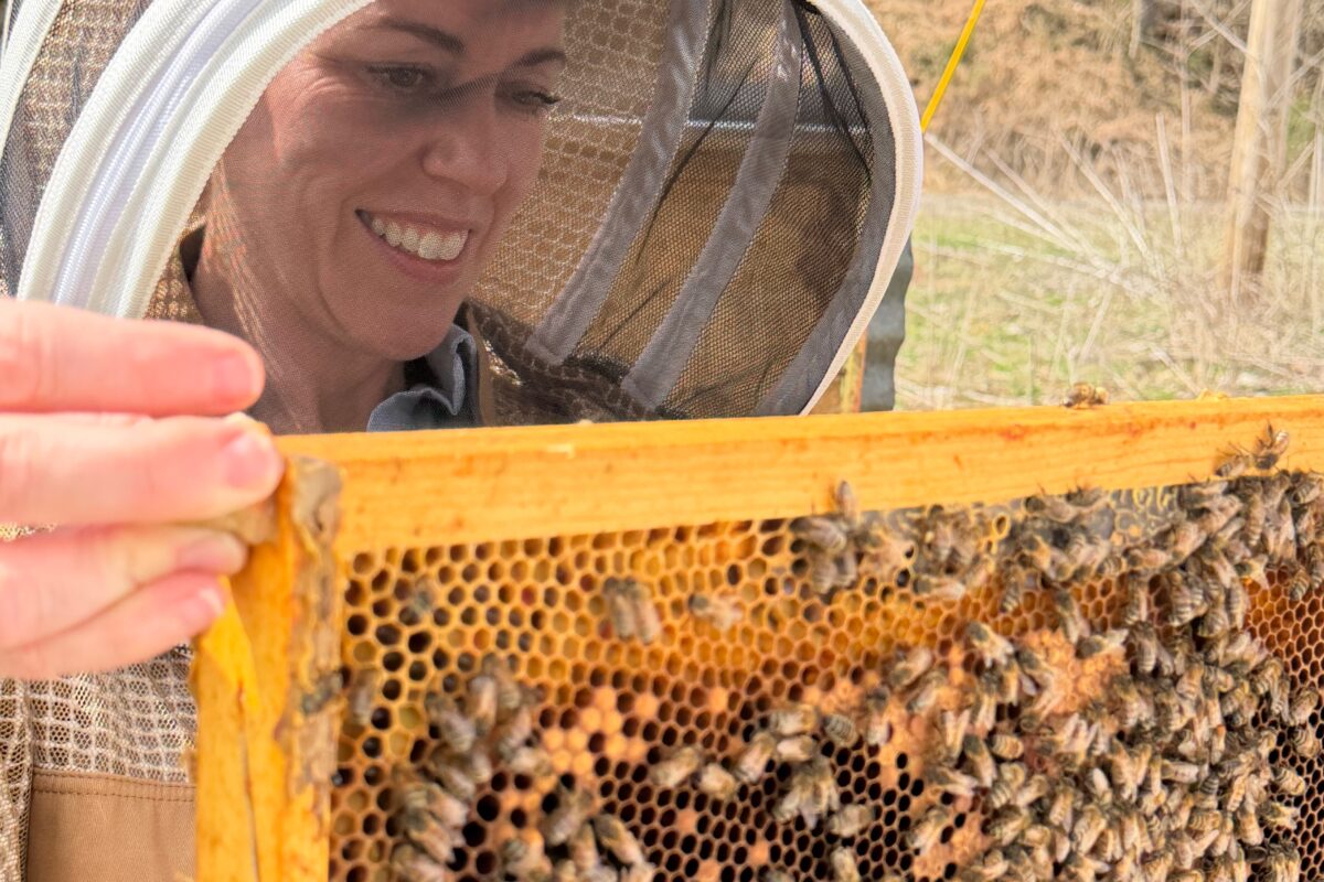Person in beekeeping suit examining a hive, symbolizing harmony between productivity and nature for work-life balance.