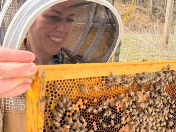 Person in beekeeping suit examining a hive, symbolizing harmony between productivity and nature for work-life balance.