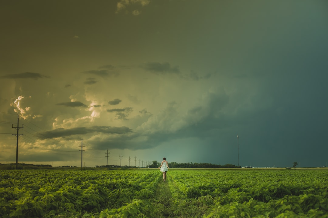 Person walking in a field under dramatic sky, symbolizing balance and focus.
