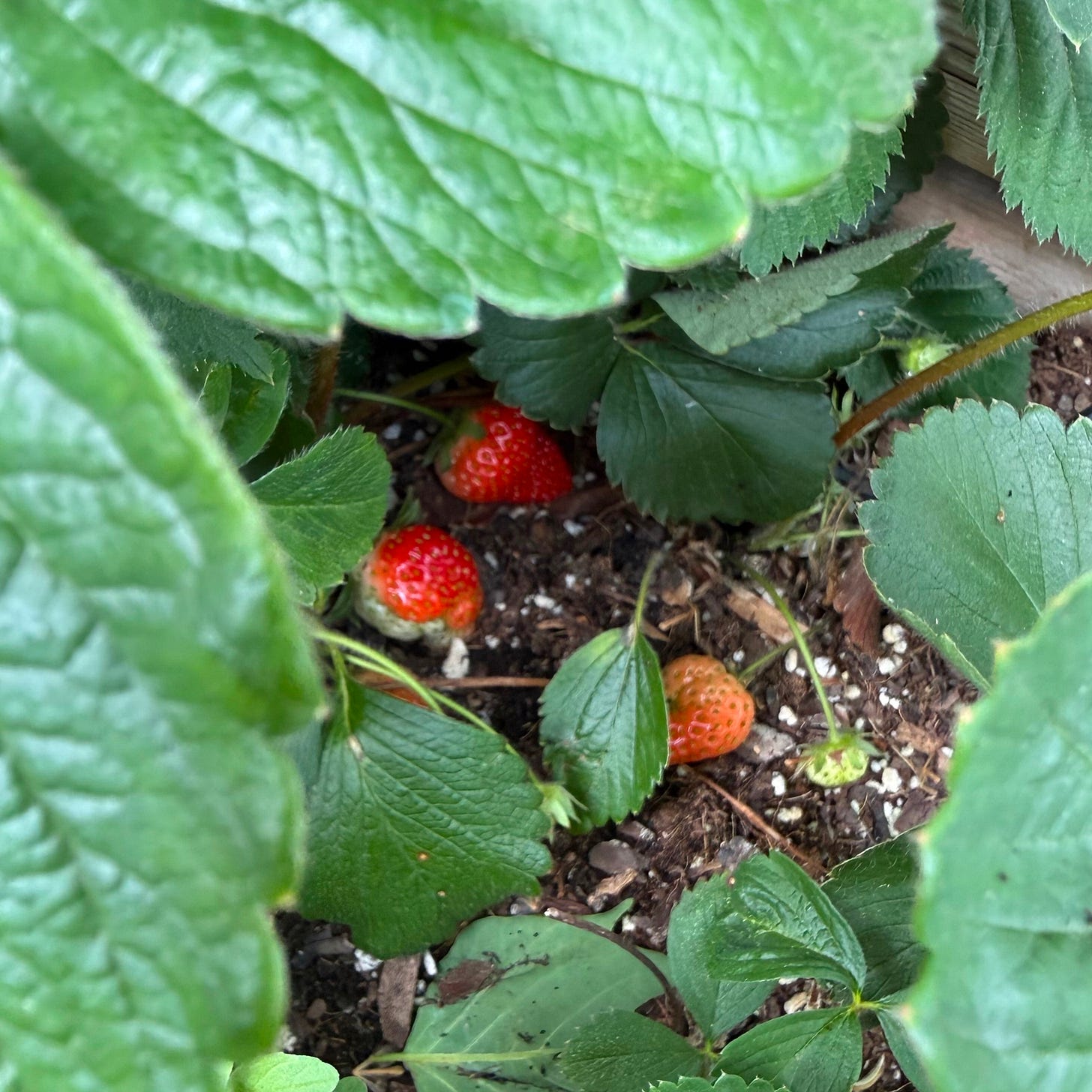 The good stuff is in there, just waiting to be discovered.