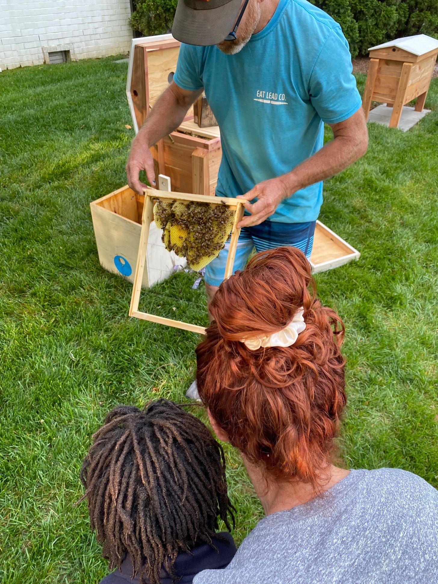 Bees moving in